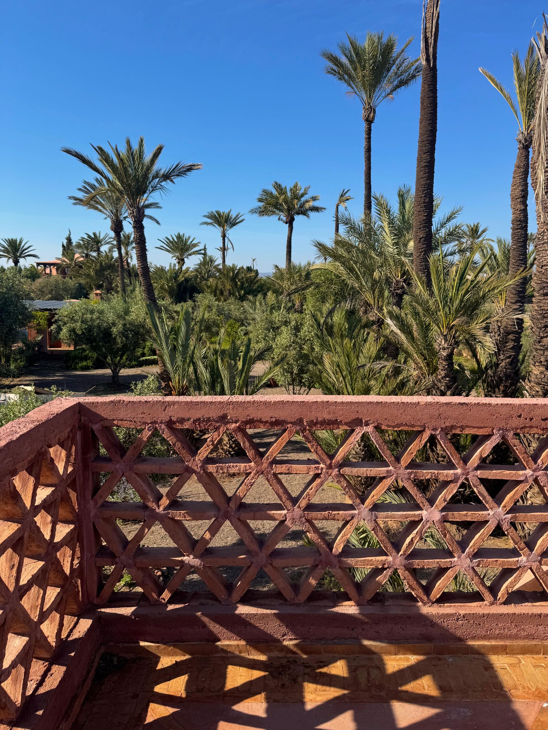 A latticework terrace looking out over the palms