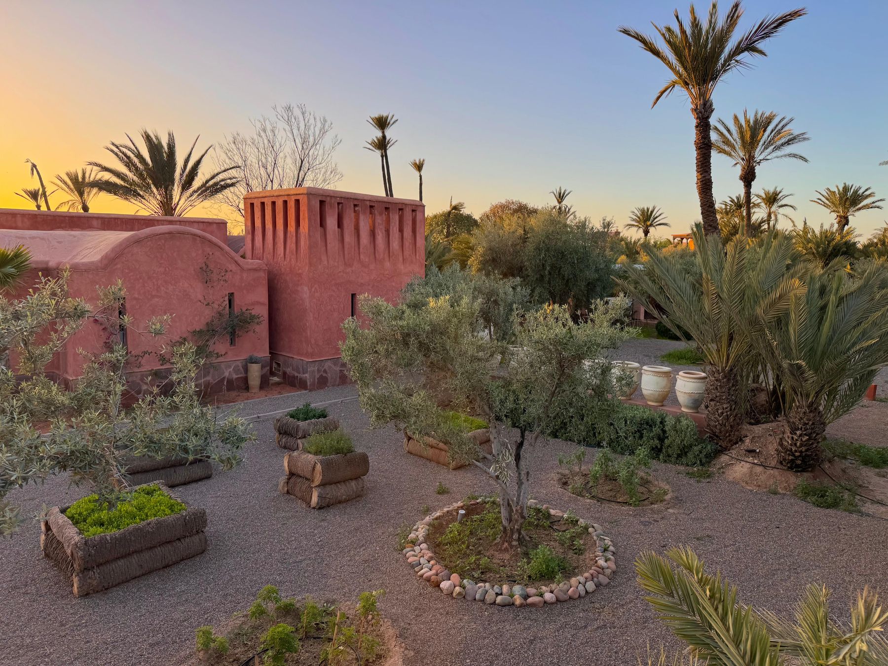 The terracotta walls and palms at dusk